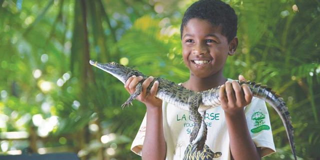 Themed adventure packages at crocodile giant tortoises park  (1)